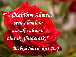 ŞEFKAT MAKAMI (NAAT)